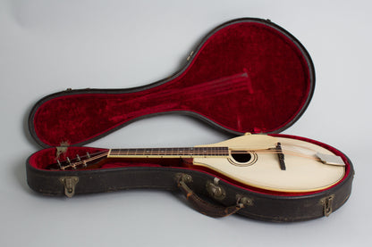 Gibson Style A-3 Carved Top Mandolin (1919)