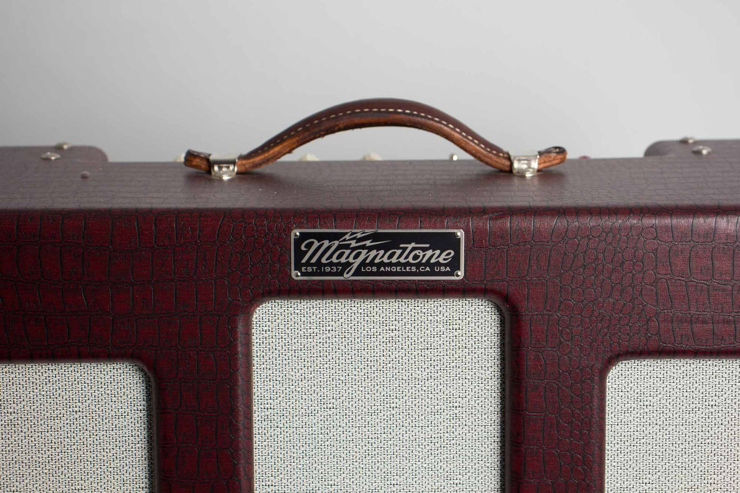 Magnatone Varsity Reverb Tube Amplifier (2013)