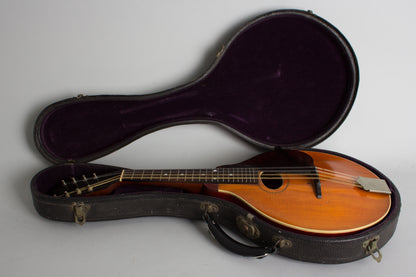 Gibson Style A- Carved Top Mandolin (1914)