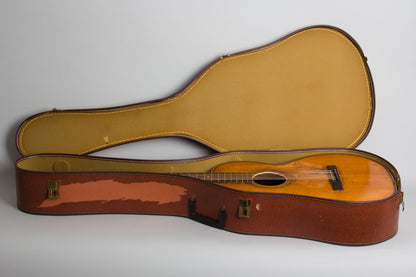 Oscar Schmidt Stella Grand Concert 12 String Flat Top Acoustic Guitar (1928)