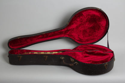 Bacon & Day Silver Bell #6 Ne Plus Ultra Special Tenor Banjo (1927-33)