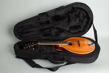 Gibson A-3 Carved Top Mandolin (1914)