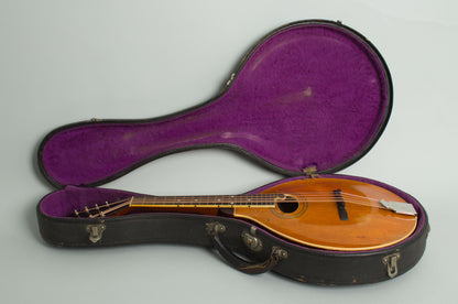 Gibson Style H-1 Carved Top Mandola (1910)