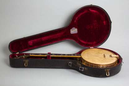 Epiphone Recording Deluxe Art Model Tenor Banjo (1926)