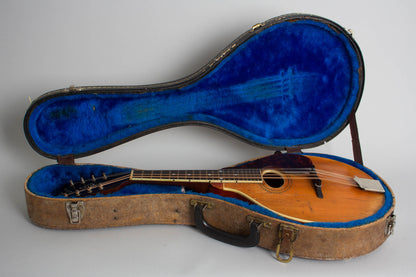 Gibson A-3 Carved Top Mandolin (1914)