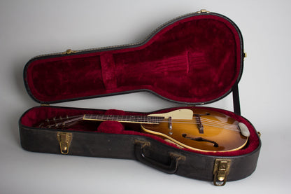 Kay K-95 Hollow Body Electric Mandolin (1958)