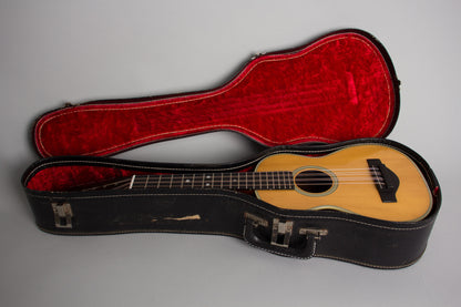 C. F. Martin T-28 Tiple (1967)