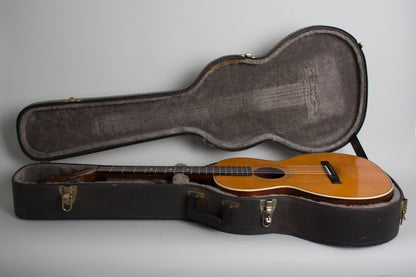 Lyon & Healy Chase Flat Top Acoustic Guitar (1910)