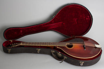 Gibson K-2 Carved Top Mandocello (1912)