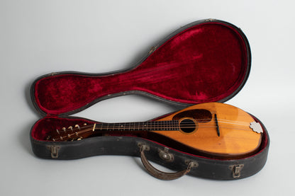 C. F. Martin Style B Flat Back Mandolin (1931)