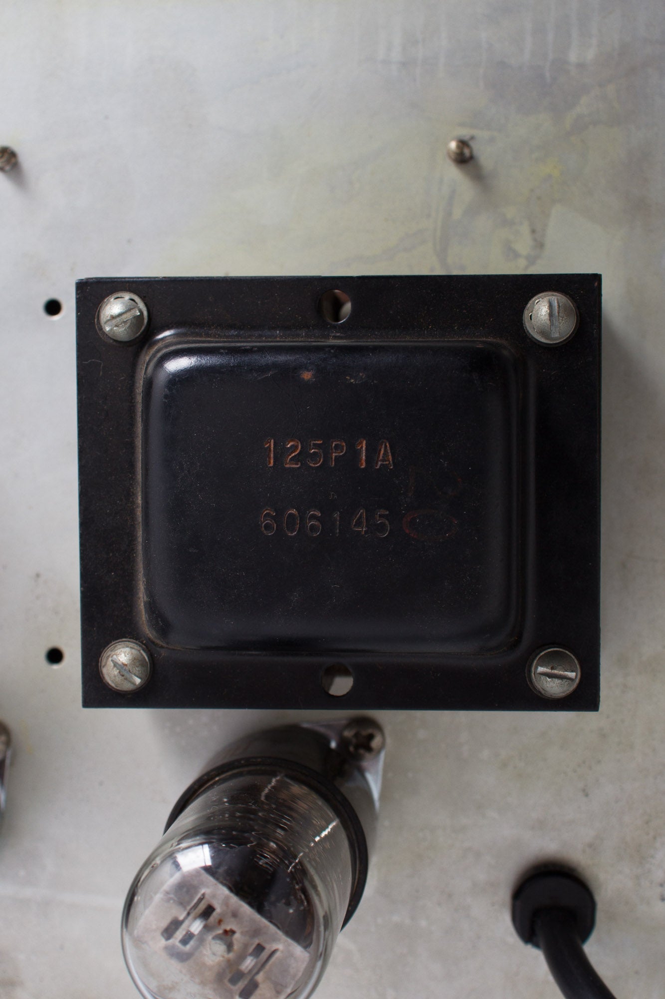 Fender Princeton 6G2A Tube Amplifier (1961)
