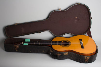 Del Pilar Classical Guitar (1971)