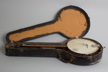 Vegaphone Professional Tenor Banjo (1927)