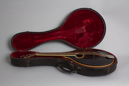Gibson H-2 Carved Top Mandola (1913)