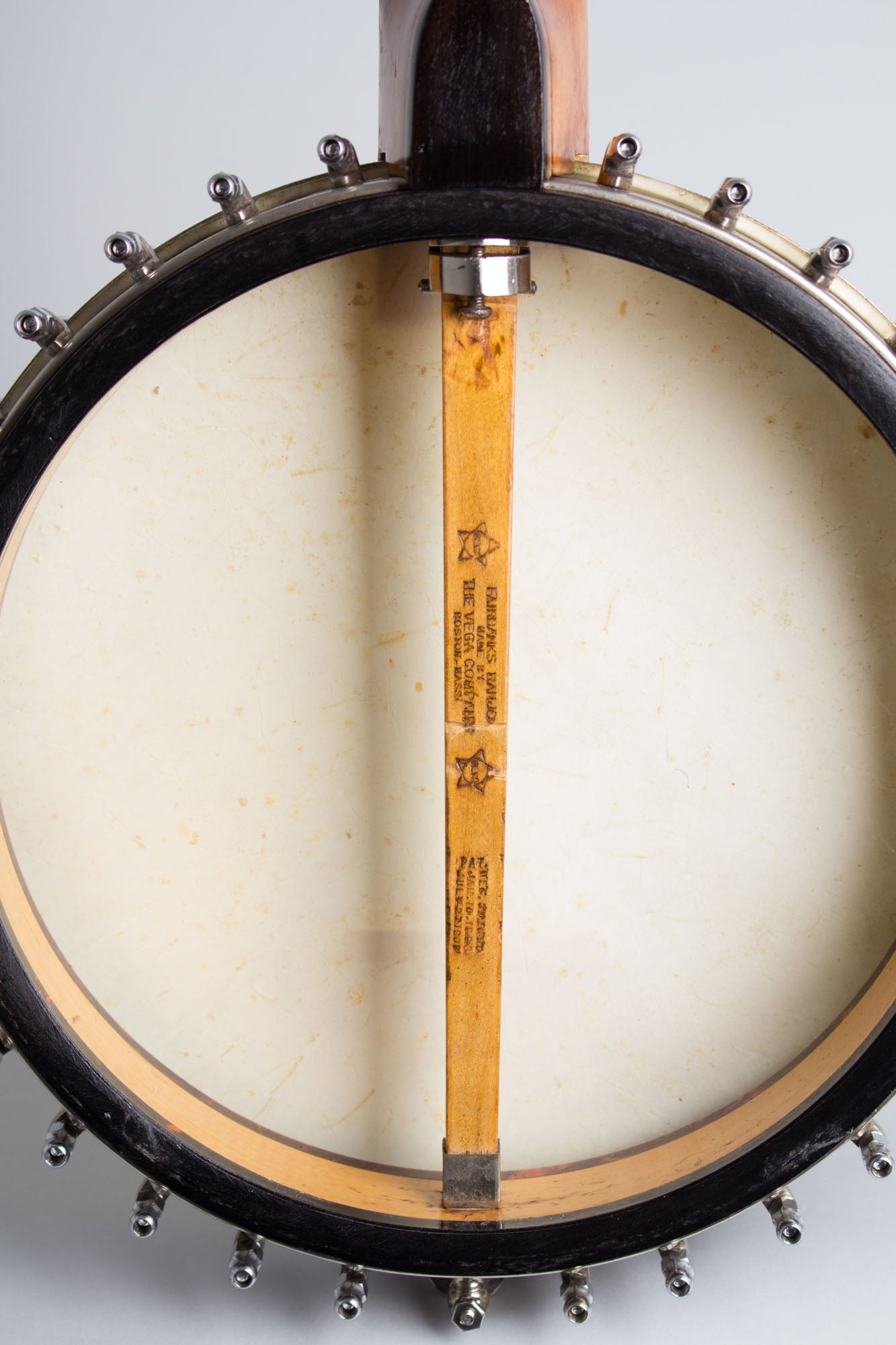 Vega Whyte Laydie Guitar Banjo (1923)