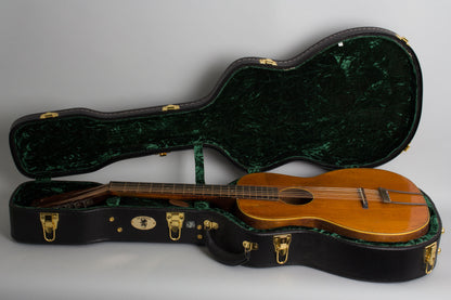Regal Model 2060 12 String Flat Top Acoustic Guitar (1940s)