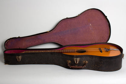 Harmony Oak Flat Top Acoustic Guitar (1920s)