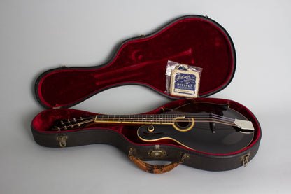 Gibson F-2 Carved Top Mandolin (1912)