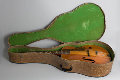 Harmony Patrician H-1414 Arch Top Acoustic Guitar (1954)