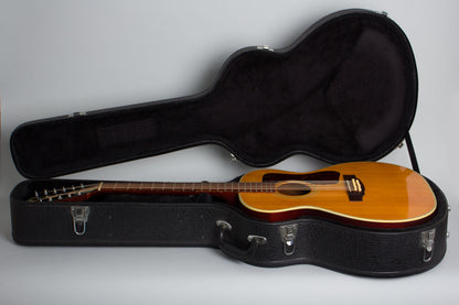 Guild F-212 12 String Flat Top Acoustic Guitar (1970)