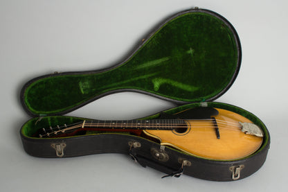 Lyon & Healy Style B Carved Top Mandolin (1919)