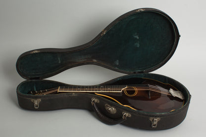 Bacon William Place Jr. Artist Model Carved Top Mandolin (1921)