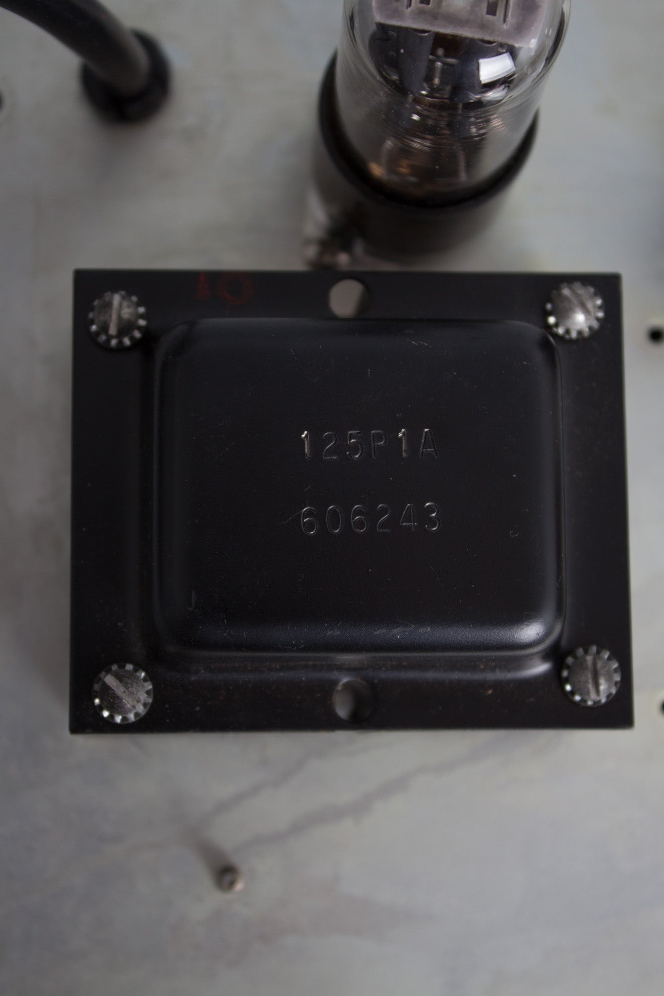 Fender Princeton 6G2 Tube Amplifier (1962)