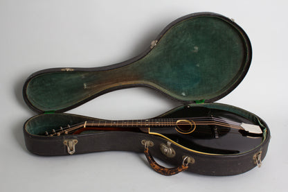 Gibson Style A Snakehead Carved Top Mandolin (1925)