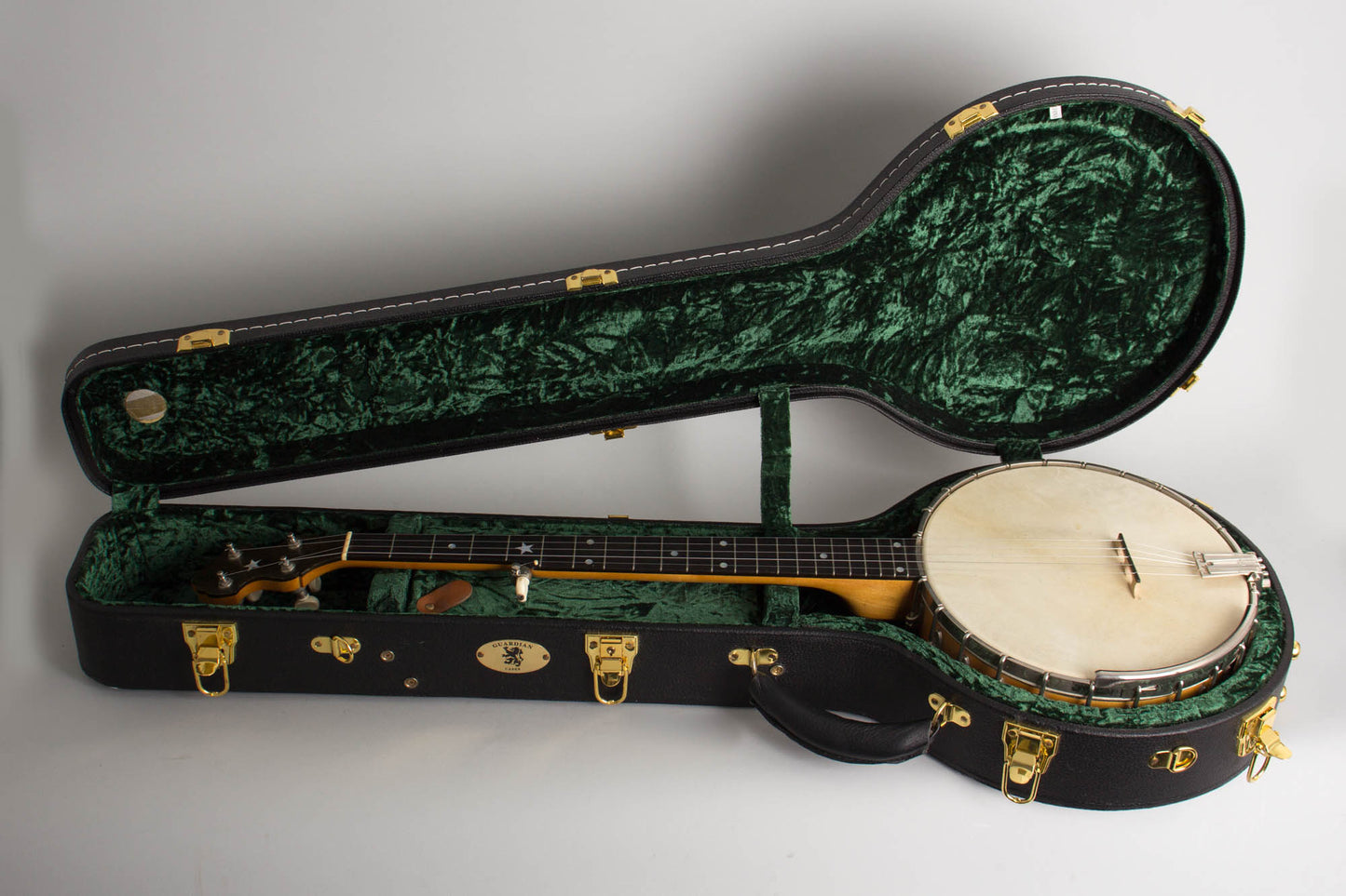 Bart Reiter Professional 5 String Banjo