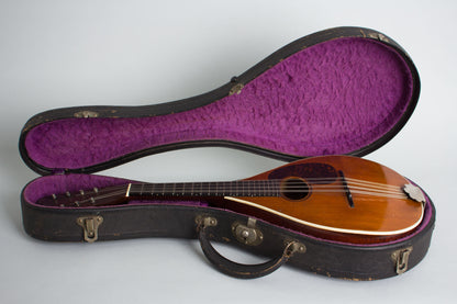 C. F. Martin Bitting Special Flat Back, Bent Top Mandolin (1917)
