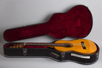 Jorge Menezes Hermann Hauser Style 7 string Classical Guitar (2022)