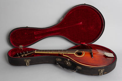 Gibson A-4 Carved Top Mandolin (1914)