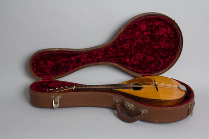 C. F. Martin Style B Flat Back Mandolin (1919)