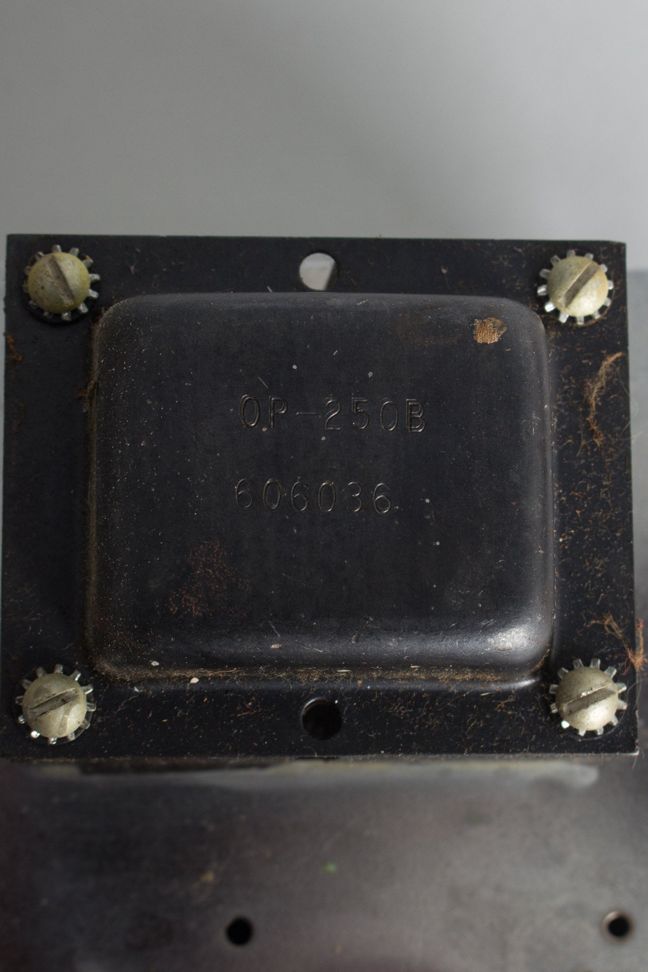 Fender Champ-Amp 5F1 Tube Amplifier (1960)