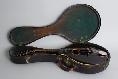 Gibson Style A-1 Snakehead Carved Top Mandolin (1924)
