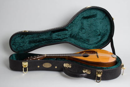 C. F. Martin Style B Flat Back Mandolin (1920)