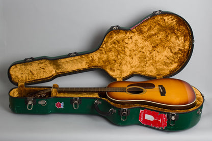 Collings DS2H-ASB Owned and played by Adam Levy Flat Top Acoustic Guitar (2022)