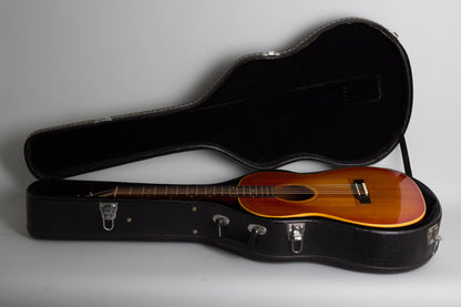 Gibson F25 Folk Singer Flat Top Acoustic Guitar (1964)