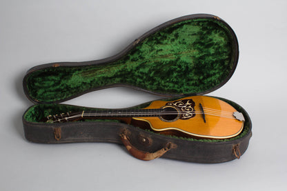 Favilla Flat Back, Bent Top Mandolin (1920s)