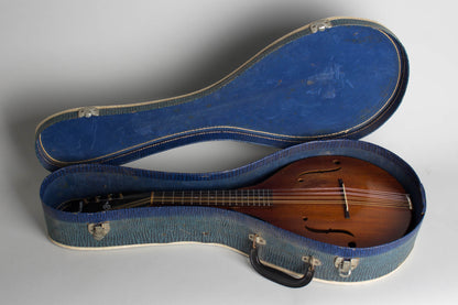 Stradolin Orpheum Style B Arch Top Mandolin (1950)