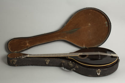 Gibson K-1 Carved Top Mandocello (1924)