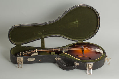 Collings MT Carved Top Mandolin (2013)
