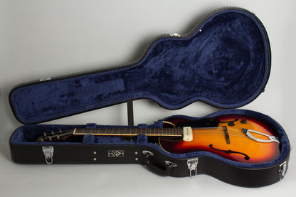 Guild T-100 Thinline Hollow Body Electric Guitar (1962)