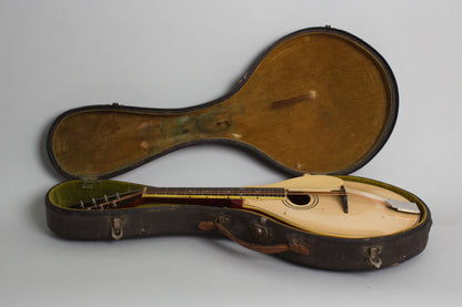 Gibson Model A-3 Carved Top Mandolin (1919)