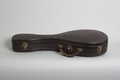 Vega Cylinder Back Model 205 Mandolin (1917)