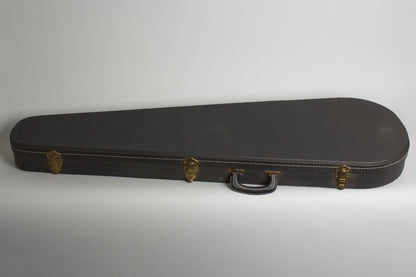 Wandre Tigre Semi-Hollow Body Electric Guitar (1965)