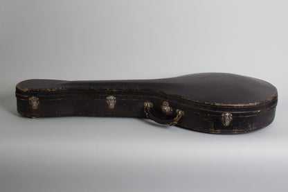 Gibson K-1 Carved Top Mandocello (1915)