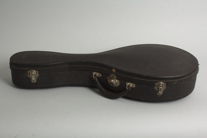 Bacon William Place Jr. Artist Model Carved Top Mandolin (1921)