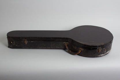 Vegaphone Professional Tenor Banjo (1927)