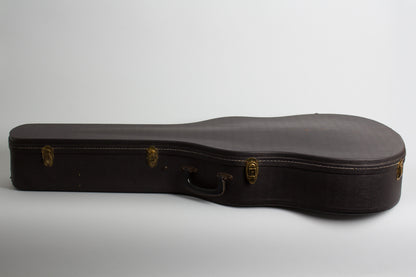 Gibson ES-175D Special Arch Top Hollow Body Electric Guitar (1968)